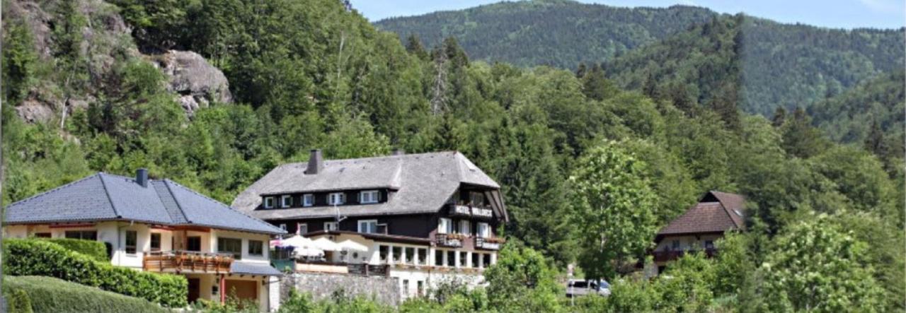 Hotel Waldeck In Todtnau Esterno foto