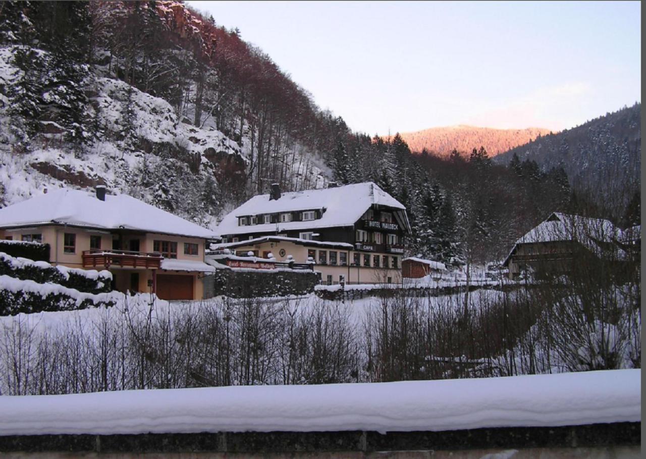 Hotel Waldeck In Todtnau Esterno foto